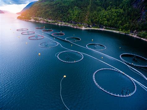 Aquaculture .